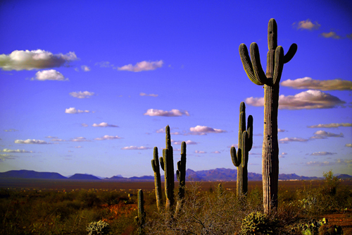 tucson az photographer