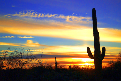 tucson az photographer